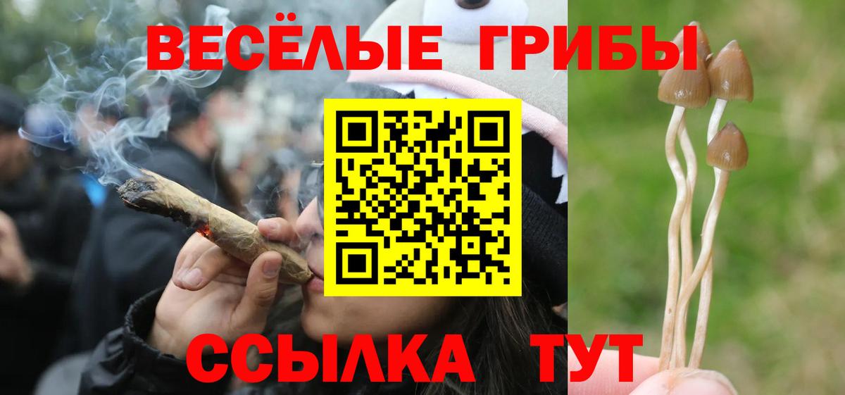 Лабытнанги  как найти закладки  Вход с VPN  Галлюциногенные грибы GOLDEN TEACHER  Галлюциногенные грибы MAGIC MUSHROOMS 